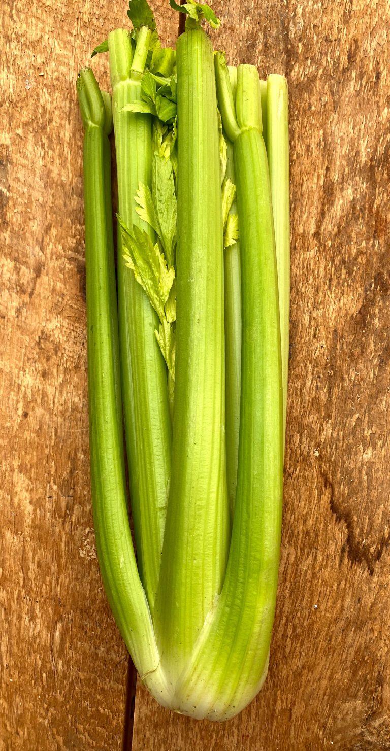Celery (Per Bunch) Alstede Farms NJ