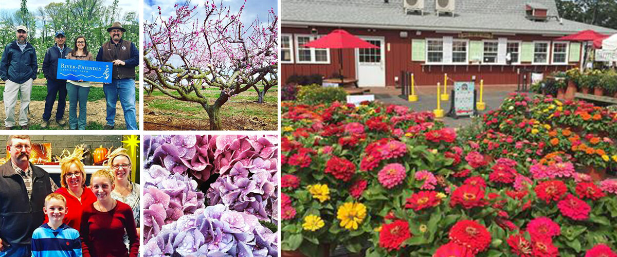 About Us Alstede Farms NJ
