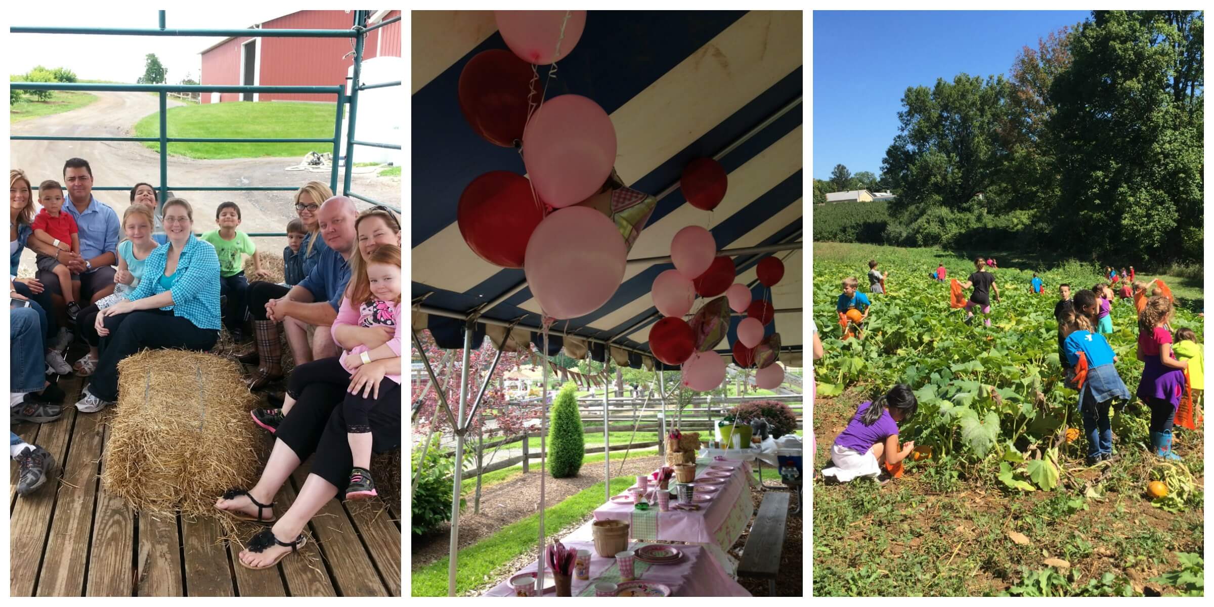 Venue Alstede Farms NJ