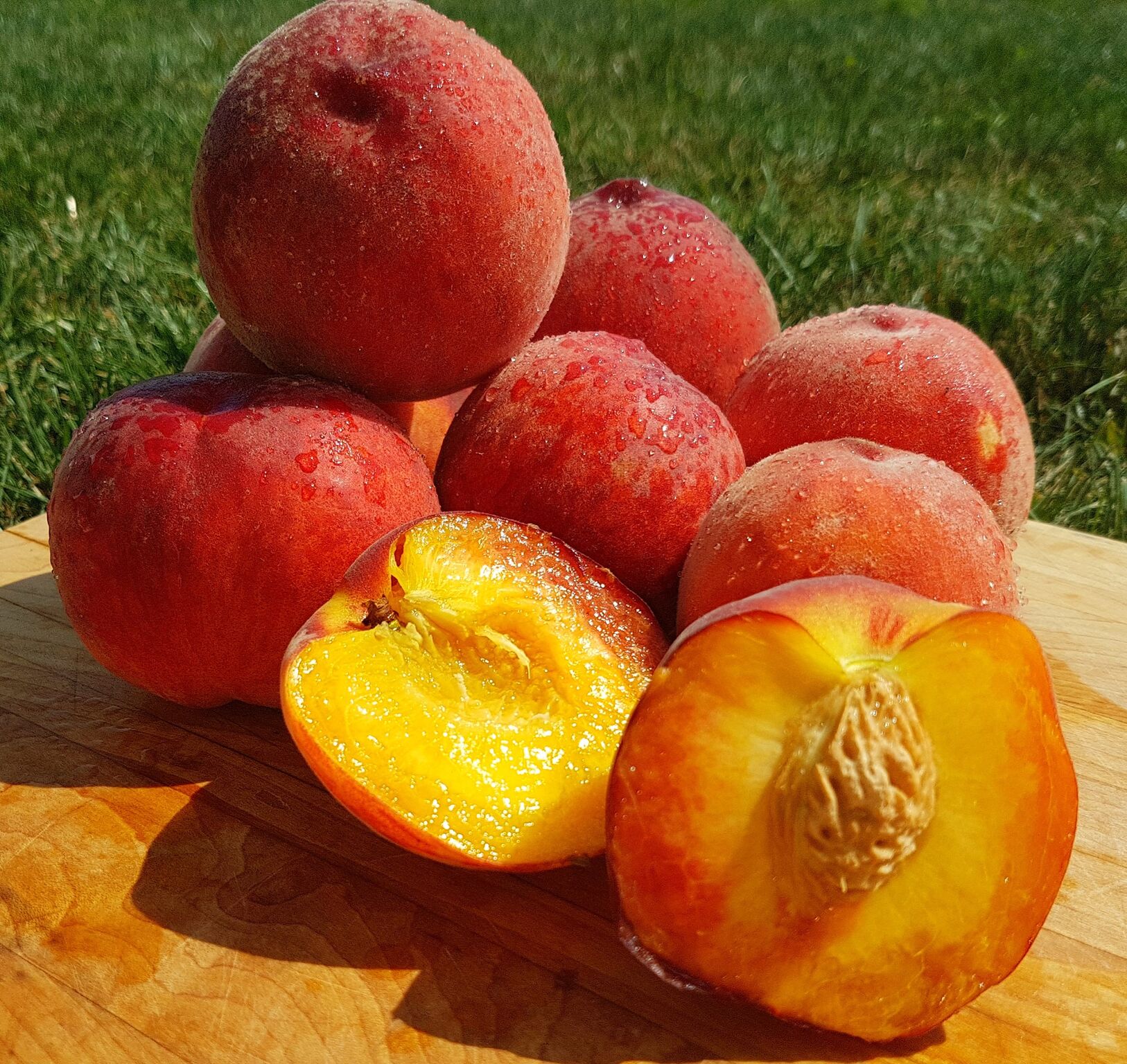 what can i pick today