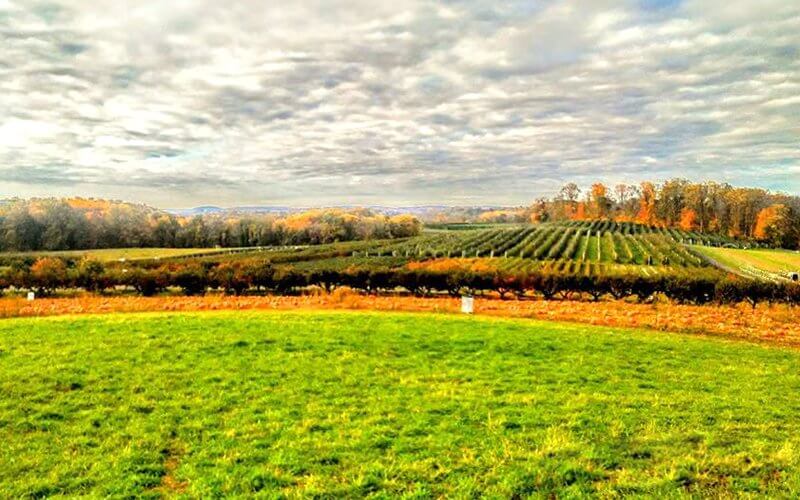 Home Alstede Farms NJ