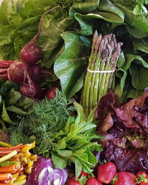 Fruits & Vegetables