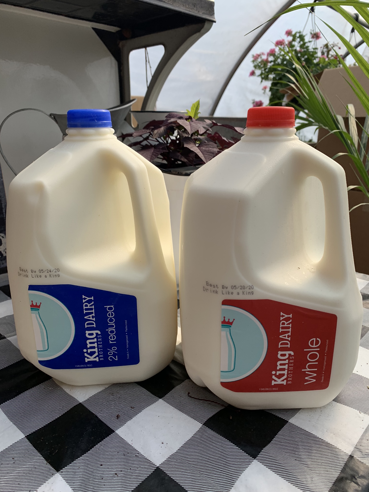Alstede Farms Milk Gallon