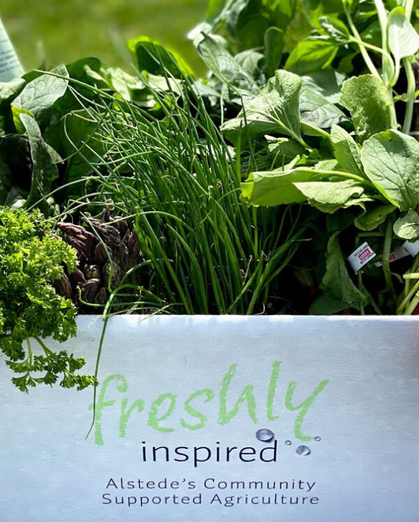 Home Alstede Farms NJ