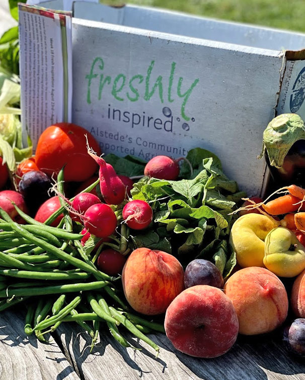 csa-subscription