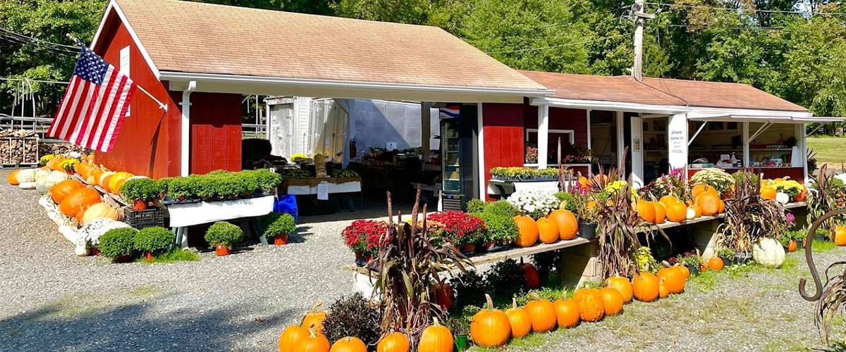 Alstede Fresh Farm Stand Bridgewater NJ Alstede Farms NJ