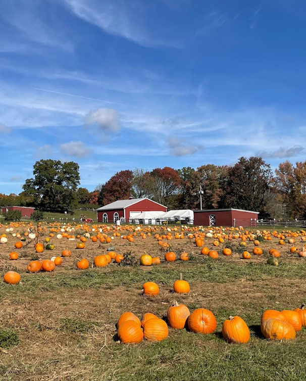 Home Alstede Farms NJ