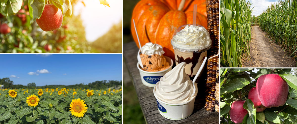 Visit the Farm Alstede Farms NJ