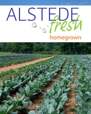 Alstede Fresh