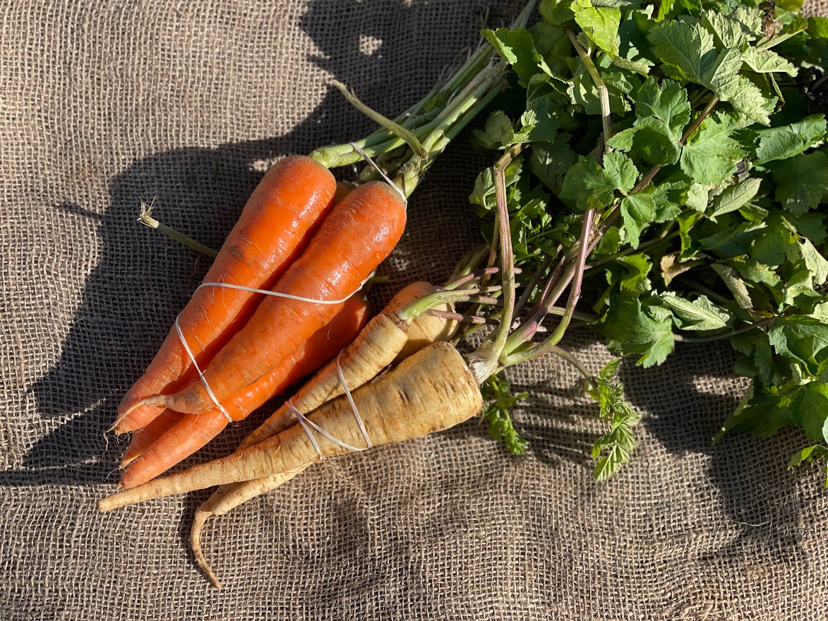 Keep Calm and Carrot On Alstede Farms NJ