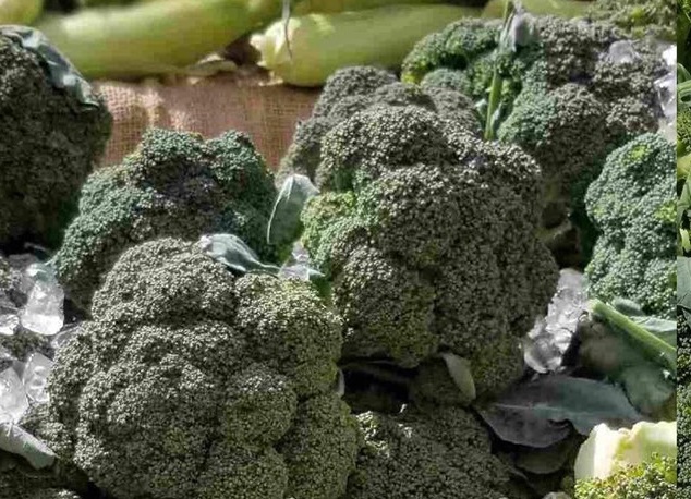 Easy 10 Minute Pan-Seared Broccoli | Alstede Farms