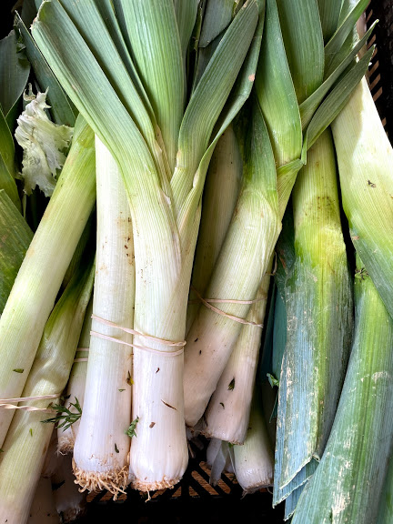 Geek over Leeks | Alstede Farms | NJ